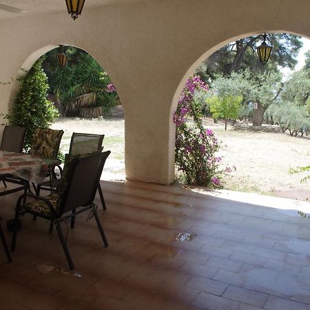 Chalkidiki Beachfront Haven - Perfect Location นิกิติ ภายนอก รูปภาพ